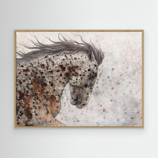 Appaloosa One