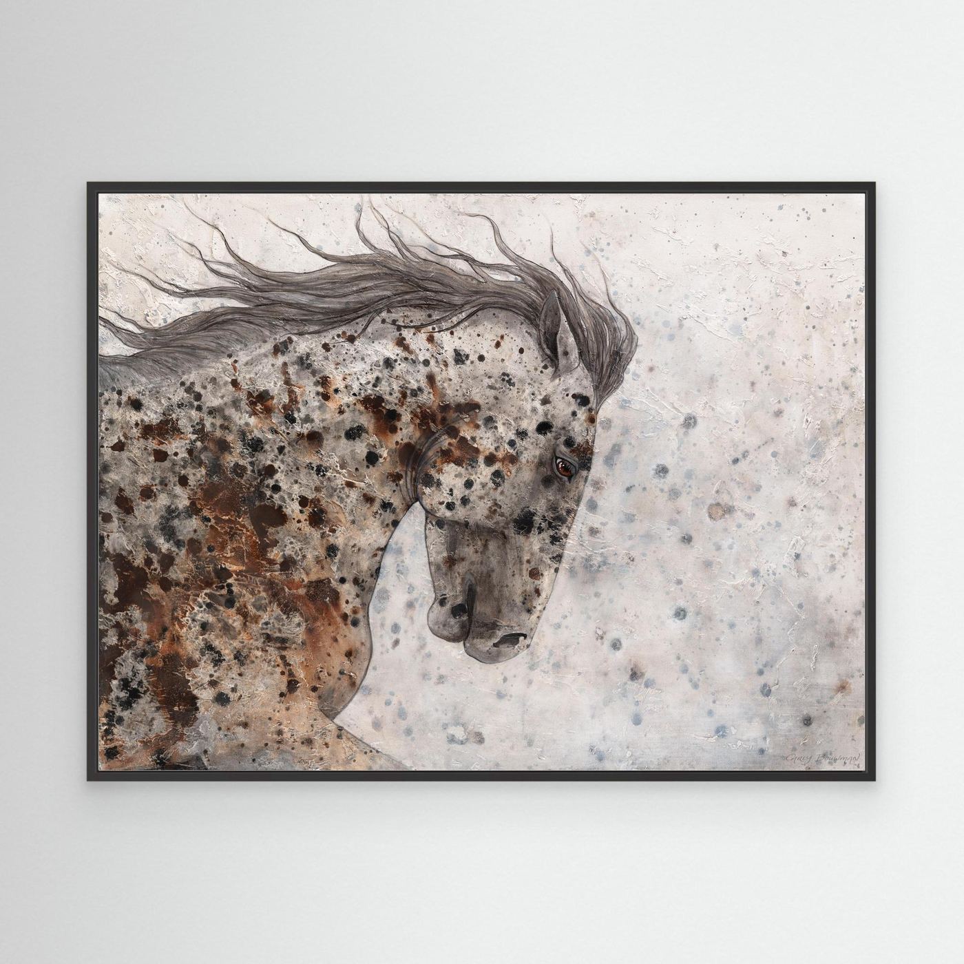 Appaloosa One