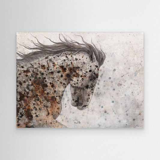 Appaloosa One