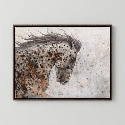 Appaloosa One