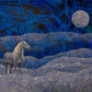 Freedom: Mustang Prints